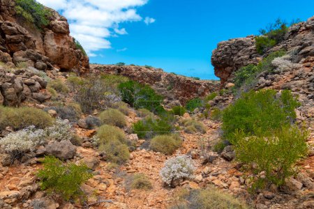 Téléchargez les photos : "George au ruisseau Yardie au parc national du Cap Australie" - en image libre de droit