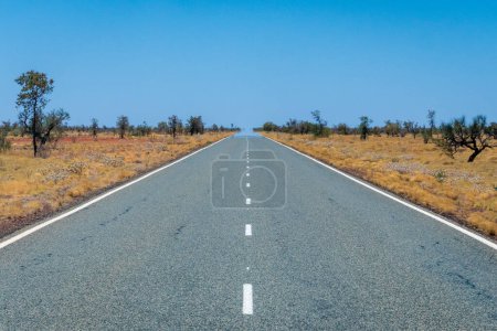 Téléchargez les photos : "Longue route vide avec des marques symétriques en Australie menant à travers un paysage de savane touchant l'horizon" - en image libre de droit