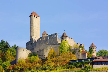 Téléchargez les photos : "Burg Hornberg sur la rivière Neckar, Baden-Wurttemberg, Allemagne" - en image libre de droit