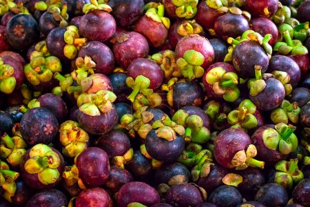 Téléchargez les photos : "mangoustan sur le marché" - en image libre de droit