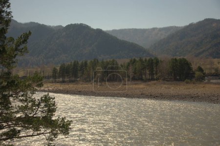 Foto de El rápido río Katun lleva sus aguas turquesas a lo largo de los pies de las montañas Altai. Gorny Altai, Siberia, Rusia
. - Imagen libre de derechos