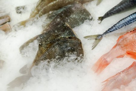 Foto de Pescado a la venta en el hielo, de cerca - Imagen libre de derechos