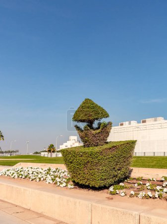 Téléchargez les photos : Shaped trimmed bush in the Doha, the capital of Qatar - en image libre de droit