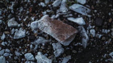 Foto de Primer plano de un fondo de textura de piedra - Imagen libre de derechos