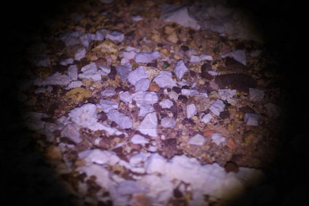 Foto de Piedras rocosas marrones y grises agudas bajo la luz de la luna - Imagen libre de derechos