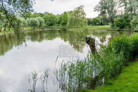 Téléchargez les photos : Grand jardin dans le parc à holland - en image libre de droit