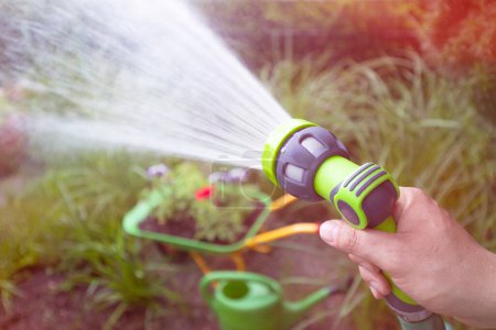 Téléchargez les photos : Gros plan du pulvérisateur d'eau de douche de main de jardin - en image libre de droit