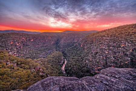 Photo for Sunset over Wollemi Natinal Park Wilderness - Royalty Free Image