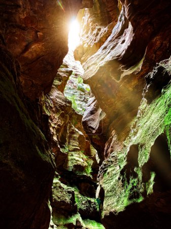 Téléchargez les photos : Flux de lumière dans un canyon à Newnes - en image libre de droit