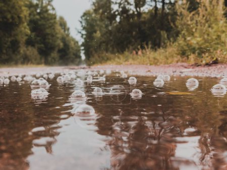 Photo for Bubbles in a puddle on the road in the rain. Autumn sadness concept - Royalty Free Image