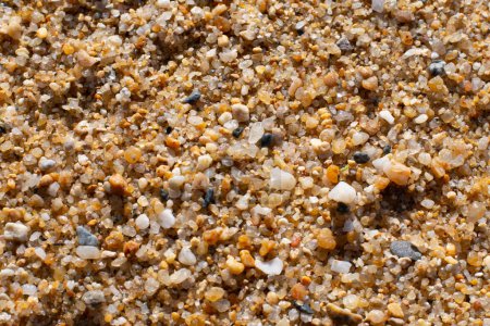 Foto de Granos de arena detalle en la playa - Imagen libre de derechos