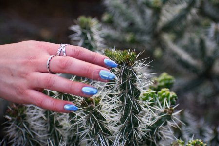 Photo for Girl's hand touching cactus - Royalty Free Image
