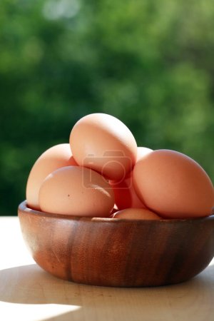 Photo for Eggs In Bowl, close up - Royalty Free Image