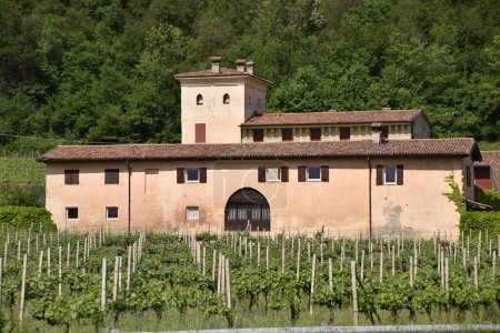Foto de Antigua granja vinícola Franciacorta - Italia - Imagen libre de derechos