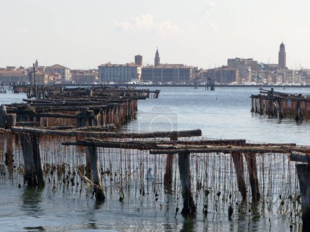 Téléchargez les photos : Une ferme de moules dans la lagune vénitienne et en arrière-plan - en image libre de droit