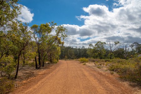 Photo for "Avon Valley National Park former railway track now hiking path close to Perth Western Australia" - Royalty Free Image