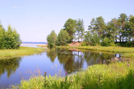 Téléchargez les photos : La rivière se jette dans un lac avec des arbres sur le rivage
. - en image libre de droit