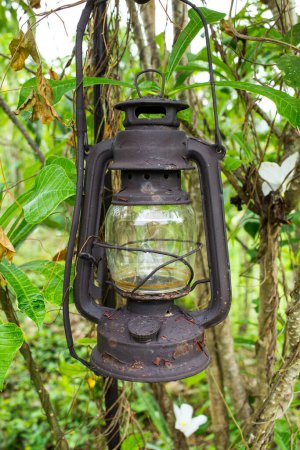 Téléchargez les photos : Lampe vintage en décoration de jardin - en image libre de droit