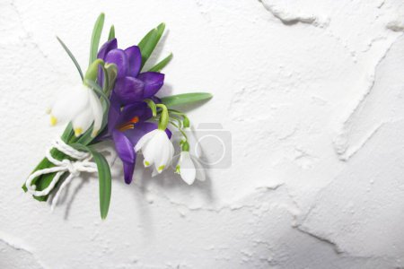 Photo for Different early flowering plants on the wall - Royalty Free Image