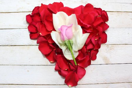 Téléchargez les photos : Coeur de pétales de rose - en image libre de droit