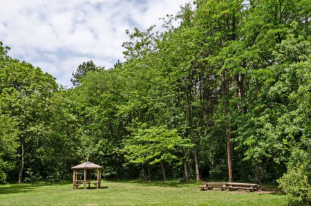 Foto de Banco de madera, alcoba y mesa en un prado en el bosque en el viejo parque natural del oeste - Imagen libre de derechos