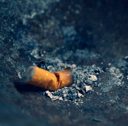 Photo for Burning cigarette with smoke - Royalty Free Image