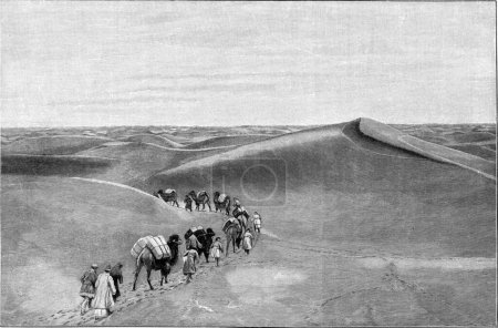 Téléchargez les photos : Transport de marchandises par une caravane de chameaux dans un désert d'Asie centrale, gravure vintage - en image libre de droit