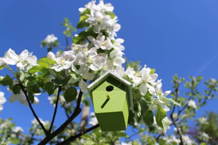 Téléchargez les photos : Nichoir dans le pommier en fleurs - en image libre de droit
