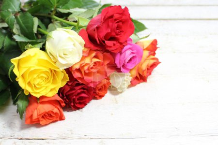 Photo pour "roses colorées sur bois blanc" - image libre de droit