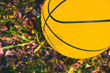 Téléchargez les photos : Balle jaune vif pour volley-ball ou basket-ball sur un terrain gazonné - en image libre de droit