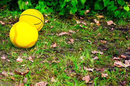 Téléchargez les photos : Balle jaune vif pour volley-ball ou basket-ball sur un terrain gazonné - en image libre de droit