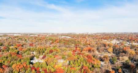 Foto de Vista superior de los suburbios Dallas casas cerca del bosque del parque con colorido otoño - Imagen libre de derechos