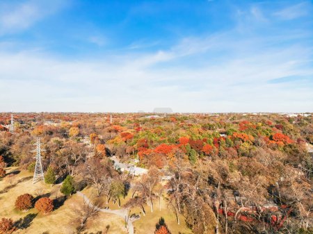 Foto de Vista superior de los suburbios Dallas casas cerca del bosque del parque con colorido otoño - Imagen libre de derechos