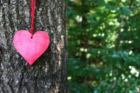 Téléchargez les photos : Coeur rouge sur un arbre - en image libre de droit