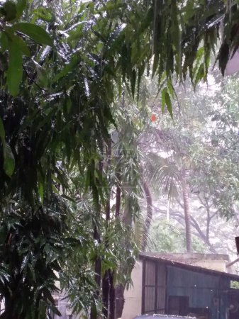 Foto de Fuertes lluvias en Pune India - Imagen libre de derechos