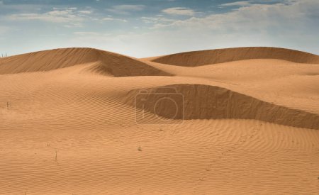 Photo for Beautiful natural sand background - Royalty Free Image