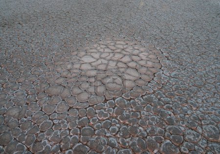Téléchargez les photos : La texture du sol, recouvert de cristaux de sel. - en image libre de droit