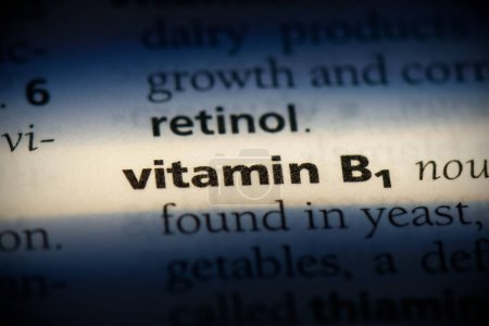 Foto de Vitamina b1 palabra, resaltado en el diccionario, vista de cerca - Imagen libre de derechos