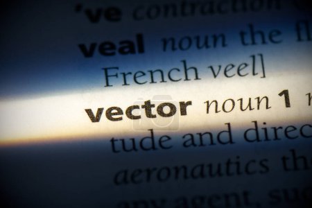 Foto de Palabra de vector, resaltado en el diccionario, vista de cerca - Imagen libre de derechos