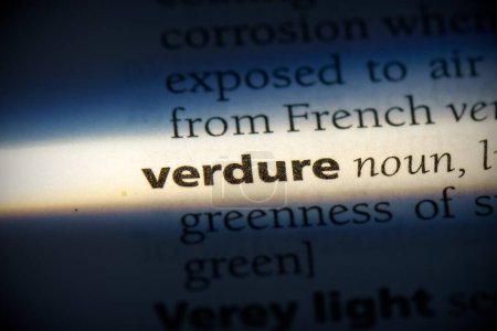 Foto de Verdure word, resaltado en el diccionario, vista de cerca - Imagen libre de derechos