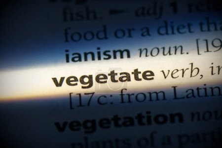 Téléchargez les photos : Mot végétal, surligné dans le dictionnaire, vue rapprochée - en image libre de droit