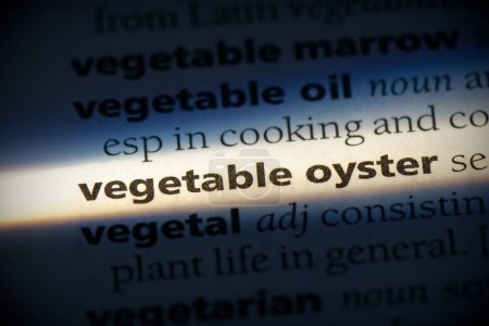 Foto de Palabra ostra vegetal, resaltado en el diccionario, vista de cerca - Imagen libre de derechos