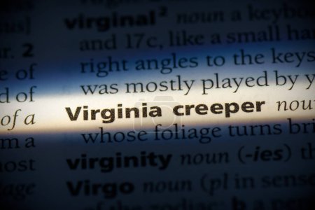 Foto de Virginia palabra espeluznante, destacado en el diccionario, vista de cerca - Imagen libre de derechos
