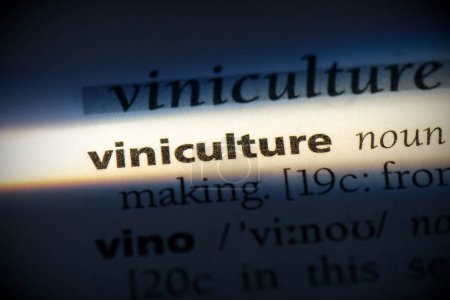 Téléchargez les photos : Mot vinicole dans le dictionnaire - en image libre de droit