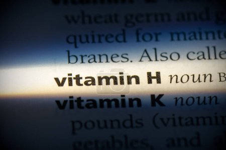 Foto de Vitamina h palabra, resaltado en el diccionario, vista de cerca - Imagen libre de derechos