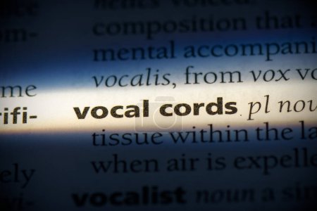 Téléchargez les photos : Cordes vocales mot, surligné dans le dictionnaire, vue de près - en image libre de droit