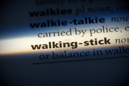 Téléchargez les photos : Walking-stick word, surligné dans le dictionnaire, vue de près - en image libre de droit