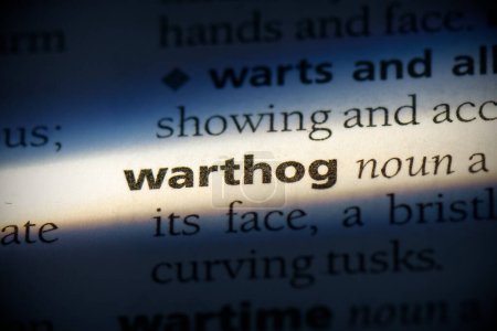 Téléchargez les photos : Warthog word, surligné dans le dictionnaire, vue de près - en image libre de droit