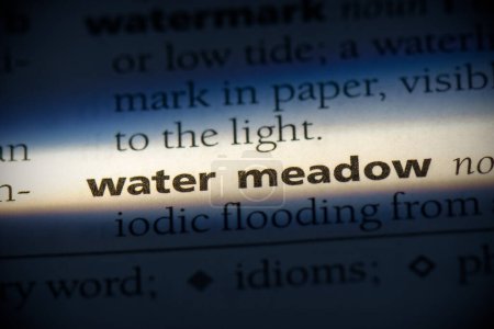 Foto de Palabra de prado de agua, resaltado en el diccionario, vista de cerca - Imagen libre de derechos