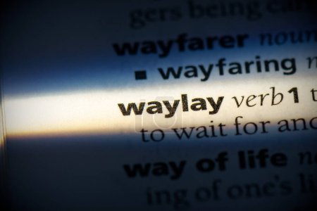 Téléchargez les photos : Waylay word, surligné dans le dictionnaire, vue de près - en image libre de droit
